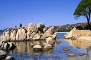 IPO迷局：海阳科技8亿贷款黑洞，业绩暴跌谁来买单？